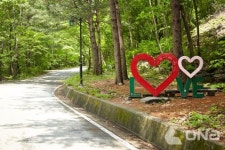 경기도, 여름이 제격인 경기둘레길 피서 숲길 3개 코스 선정