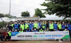 한진-농협, 임직원 60명 포도 농가 일손돕기 진행