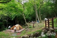 보성군, 제암산 자연휴양림...여름향기 느껴보세요