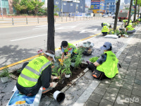 용인시 기흥구, 신갈오거리~기흥역사거리 시민 꽃길 조성