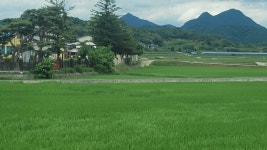 [체험 열린 현장] 순창의 자연에 반하다