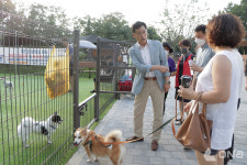양천구, 동물보호명예감시원 모집…유기·학대 신고 및 구조활동 수행