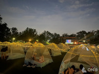 양천구 목2동, 테마형 미니축제 매월 개최