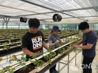 보성군, 영농 조기정착 유도...청년농업인 임대농장 운영