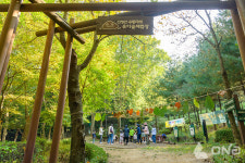 양천구, 제9회 유아숲 가족축제 개최…참가자 모집