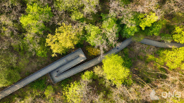 양천구, 보행약자와의 동행 신정산 둘레길 걷기대회 개최