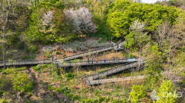 양천구, 보행약자와의 동행 신정산 둘레길 걷기대회 개최