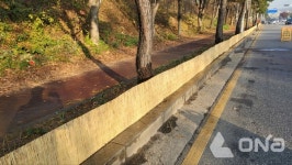 수원시, 가로수 띠녹지 24곳에 제설제 차단막 설치