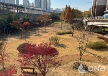 용인시, 시민 일상 곳곳 도시숲 1만6701㎡ 조성했다