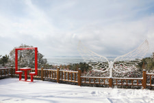 신안군 1004섬 분재정원, 전남도 1월 추천관광지 선정