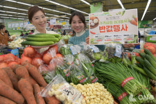 농협 유통, 하나로마트서 채소 8대 품목 반값 할인 판매 장바구니 물가 안정 앞장