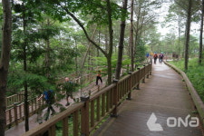 보성군 제암산휴양림...전라남도 유니크베뉴 선정