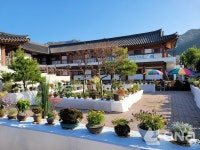 영암군, 봄꽃의 향연...야생화 전시회에 초대합니다