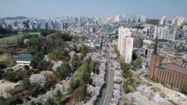 「하늘에서 본 관악」 드론으로 찍은 관악 명소의 봄, 주민과 함께 한다
