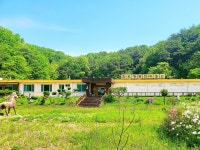 제천시 계획공모 관광사업단-한국 차 문화박물관, 관광 활성화 위한 업무협약 체결