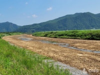 안동시 여름 태풍 대비 하천 정비에 30억원 투입