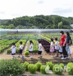 금천구, 6월부터 10월까지 금천 힐링가족 캠핑농장 운영
