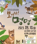 속초시, 반려견 문화축제 개최