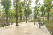 양천구, 목동 오목공원 중앙회랑·숲라운지·잔디마당 우선 개방