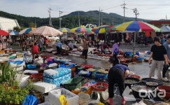 보성군, 추석맞이 전통시장 장보기...지역 상권 살린다
