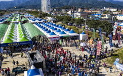 제 26회 2023 영주 풍기인삼축제 개최