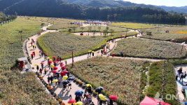 청송군, 산소카페 청송정원 누적  입장객 6만 명 돌파