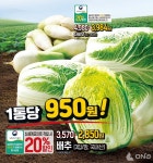 이마트, 2023 김장대전 진행…배추 1포기 950원 10년 전 가격