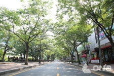 안양시, 예술공원로 음식문화거리 밝은 친환경 LED가로등 교체 추가설치