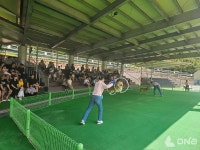 진도군, 진도개 도그(Dog) 스포츠 운영