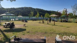 화성시, 동절기 휴장 끝 반려가족 놀이터 운영 재개