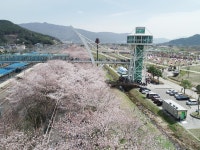 양산 통도사와 황산공원 관광객 급상승