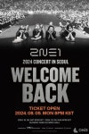 2NE1, 데뷔 15주년 콘서트 기대감 예열..레전드 무대 추억 소환