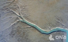 신안군, 세계자연유산 신안갯벌... 국제적 생태교육 활용