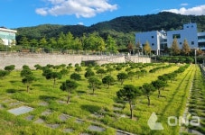 용인 평온의 숲 자연장지 신규 조성 수목장 4위형 운영 들어가