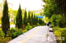 수원시 발길 닿는 곳이 모두 가을, 가로수길·도시숲·맨발길 여름과의 이별도 상쾌하다