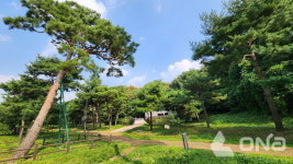 수원시 발길 닿는 곳이 모두 가을, 가로수길·도시숲·맨발길 여름과의 이별도 상쾌하다