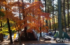 보성군, 제암산자연휴양림을 자전거로 달린다!