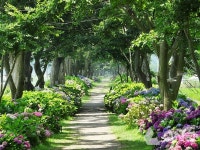 신안군,  1004섬 정원도시화...  발전방안 모색한다