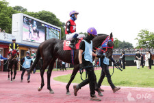 한국마사회, 제42회 그랑프리(G1) 대상경주 12월 1일 개최