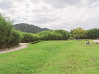 울산시, 한국관광 100선에 관광지 3곳 선정
