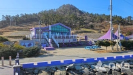 신안군,  퍼플섬  반월카페...  관광소득 1억 주민들 활짝!