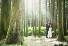 WE호텔제주, 숲 속 스몰 웨딩을 꿈꾸는 이들을 위한 웨딩 프로그램 소개