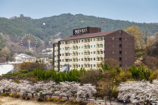 켄싱턴리조트 지리산남원, 봄 맞이 켄싱턴 벚꽃 버스 투어 출시