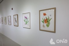 신안군 저녁노을미술관, 25년 첫 기획전 개최