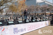 오산시 오산천 벚꽃길 공연이 있는 날 첫 기획공연 벚꽃잇데이 성황