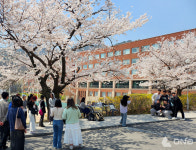 국민대, 국민 벚꽃 사진관 시즌2성황리에 종료