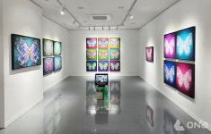 김홍년 개인전: 공존의 날개짓갤러리 윤 확장 이전 개관 기념초대전