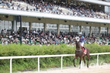 마이드림데이, 서승운 기수와 함께 농림축산식품부장관배(G2) 우승