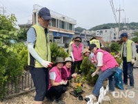 구리시, 교문1동서 여름꽃 가득 심고, 마을 사랑 더하기로 탈바꿈