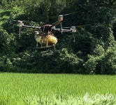 남양주시, 드론 활용 병해충 방제..항공방제 비롯 사전 대응 중요